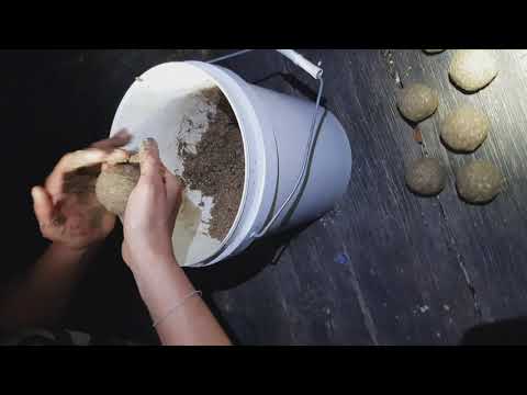 Fishing Burley For Snapper (how to make your own burley)