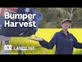 Spring Joy As Grain Growers In Western Australia Deliver Another Bumper Crop ABC Australia