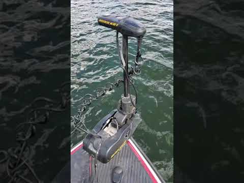 Lowrance Active Target  mounted on MinnKota Ulterra on open water for crappies, bluegill, and perch