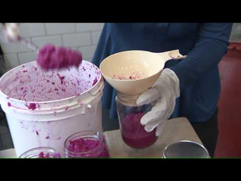 download lagu mp3 mp4 Pickle Guys Recipe, download lagu Pickle Guys Recipe gratis, unduh video klip Pickle Guys Recipe