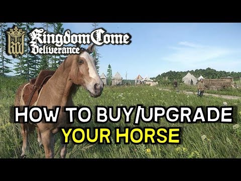 Kingdom Come Deliverance    How to Buy and or Upgrade Your Horse