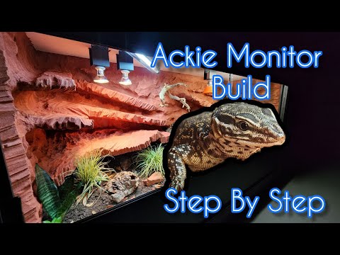 DIY Monitor Enclosure Arid Set Up & Bioactive Build #reptiles #vivarium