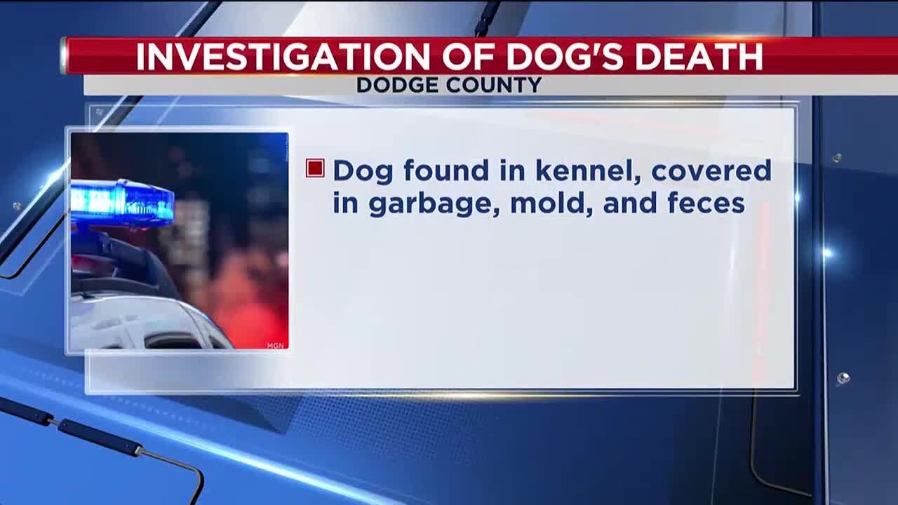 Deputies: Dog dead after being found severely malnourished, two people arrested