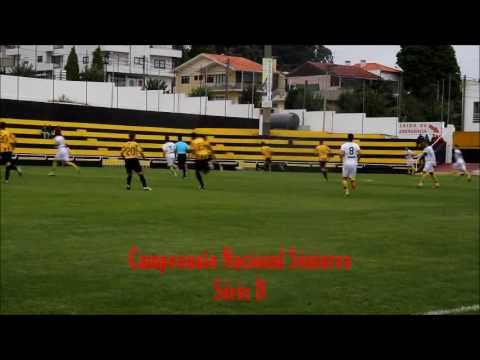 L.Lourosa - S.C.Bustelo