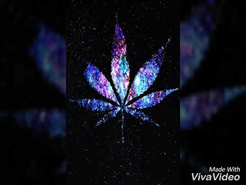 Dj mehmetcan Dj yusuf yıldırım (cio)