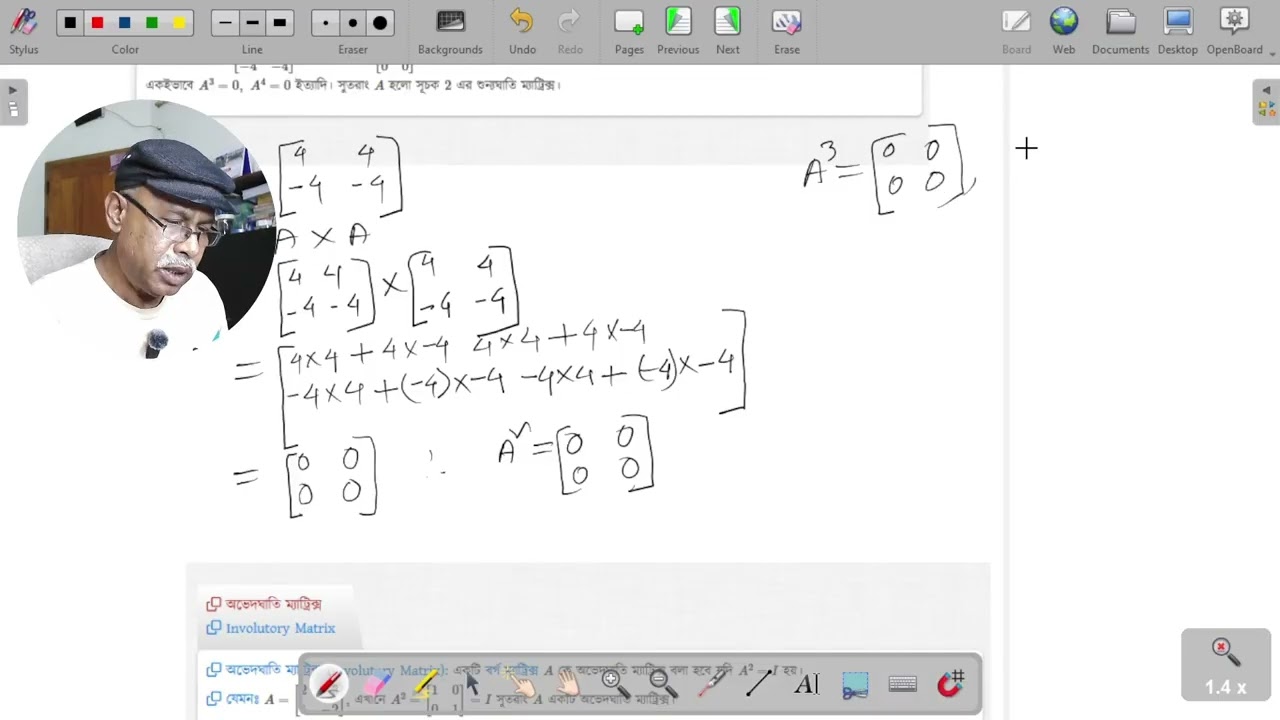 Nilpotent & Involutory Matrix Explained | Advanced Matrix Types with Examples