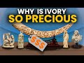 Why is IVORY so Precious ?