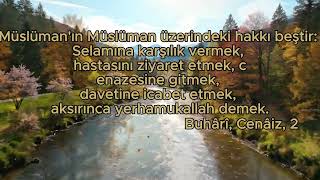 Her Müslümanın Bilmesi Gereken 5 Görev! 🤝✨ #hadis