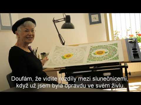 Česká květinová abeceda – kaligrafie umělkyně Susan Loy