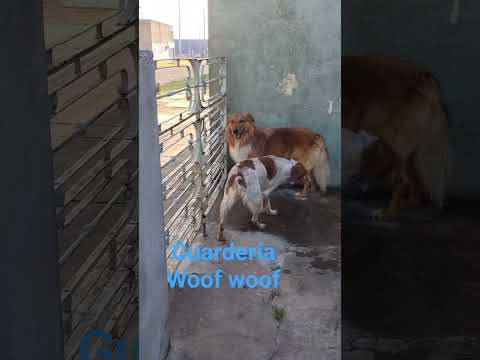 en alcorta santa  fe