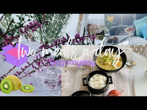 , title : 'Vlog 4| two meals a day| simple Korean meal| Doenjang jjigae|oatmeal | lilysilk haul| oven cleaning'