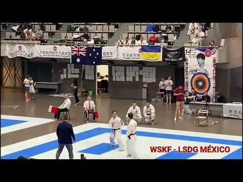 Karate - Kumite - 14° World  Championships WSKF - Tokio 2019
