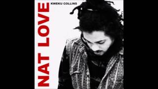 Kweku Collins - Nat Love (Full Album)