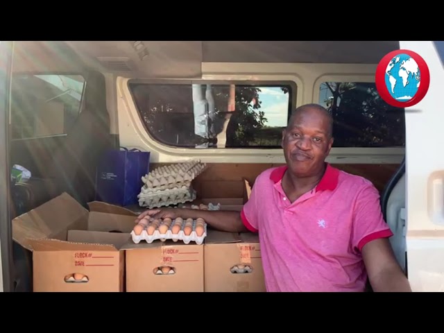 After Melissa, egg farmers put GCT removal back on table