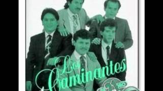 Kadr z teledysku No volveré tekst piosenki Los Caminantes (México)