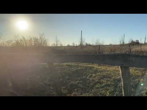 19 марта 2025 г.