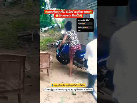 හරිනෙ දැං පු# අමාරුව😂💥 #hornet #bike #accident #srilanka #highcapacity #bikelovers #damage