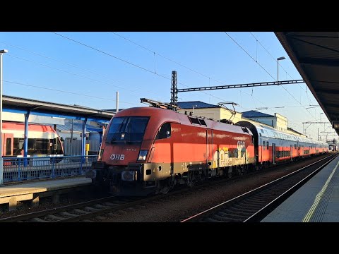 Morning Departures and Arrivals at Breclav Station | QBB, CityJet, RegioJet | September 2025