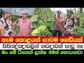 I Earn 4 Million Rupees In Just 3 Months From Cucumber Farming
