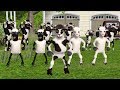 Kambing Lucu Dan Sapi Joget Lagu Anak Selamat Ulang Tahun