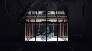 Lab-Grown Leather: T-Rex Leather
