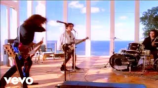 Baby Animals - Early Warning