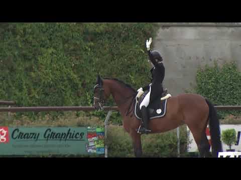 Mladší junioři – Sobotní soutěže při mistrovství ČR 2019 v drezuře Královice u Slaného