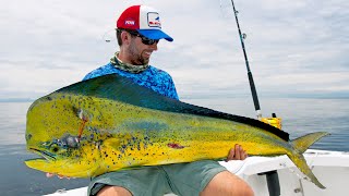 MONSTER Dolphin, Blue Marlin, Sailfish and Shark Fishing