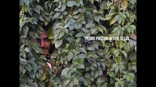 Pedro Pastor - Verde selva ('La vida plena')