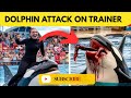 Dolphin Attack On Jessica Full Documentary Jessica Jessica Dolphin Story 2025