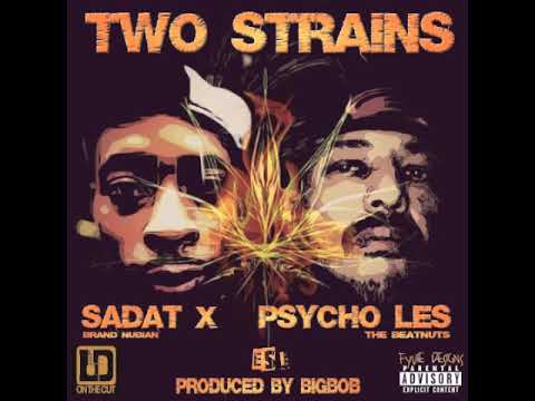 Two Strains Ft. Psycho Les (The Beatnuts) Sadat X (Brand Nubian) & LDonTheCut prod. by BigBob