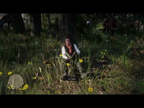 MC | What happens when you don't want the iconic "Well fuck you then!" | RDR2