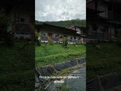 finca la cascada en Génova quindio# #naturaleza #vistashermosas #paisajesextremos #viajes