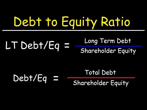 Long Term Debt to Equity Ratio ROE Shareholder s Equity