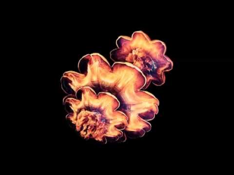 Robots Don't Sleep - So Bad (Synkro Vocal Mix)