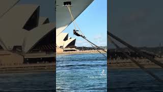 How it ended for Carnival Adventure’s real life Spider-Man #carnivaladventure #carnivalcruiseship