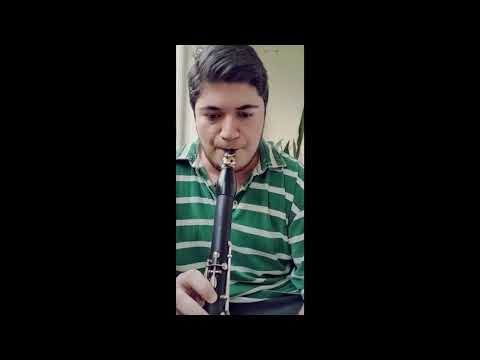 Berke Altıparmak - Klarnet Taksimi