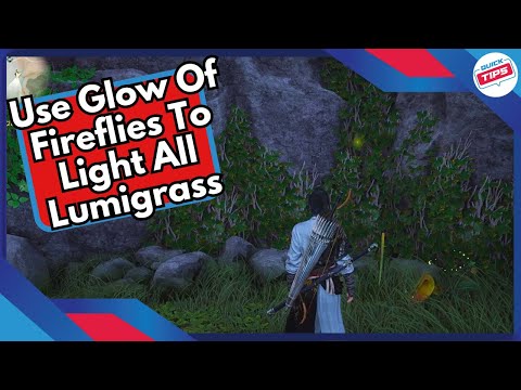 Use Glow Of Fireflies To Light All Lumigrass Meow Meow Puzzle in Where Winds Meet