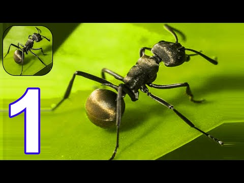 The Ants: Underground Kingdom - Gameplay Part 1 Tutorial (Android, iOS) #1 - YouTube