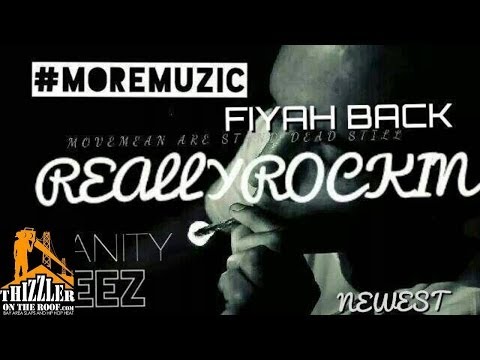 AMONEYMUZIC ft. AMONEYMUZIC, MEEZE, HEAVY of NSANITY - FIYAH BACK [Thizzler.com]