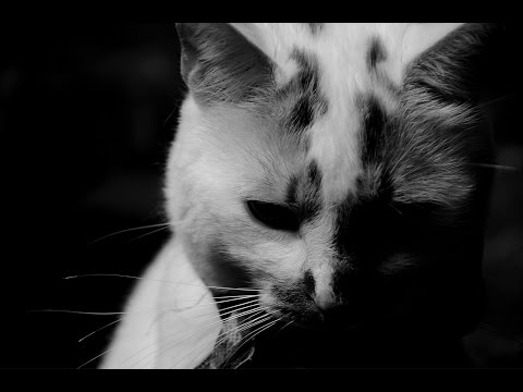 Scariest Ghost Stories & Legends: Urraca Mesa