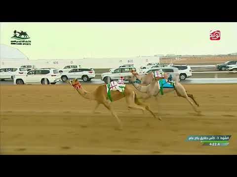 ش 3 فتنه لـ مانع علي حماد الشامسي 4:45:02 ، كأس الاتحاد السعودي 2026/10/01  الطايف حقايق 