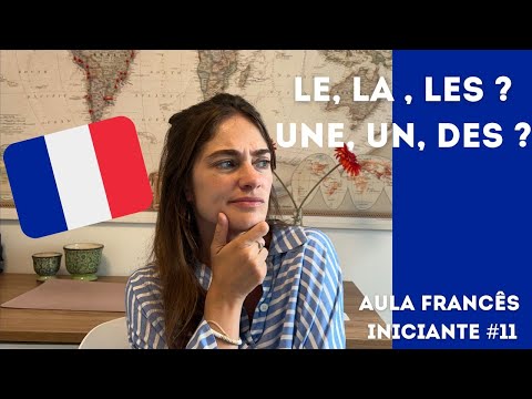 AULA DE FRANCÊS - como usar os artigos definidos e indefinidos?