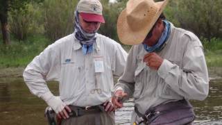 preview picture of video 'Fly Fishing the Bighorn River, Montana w/ Wilderness Fly Fishers, Leaning Tree Lodge'