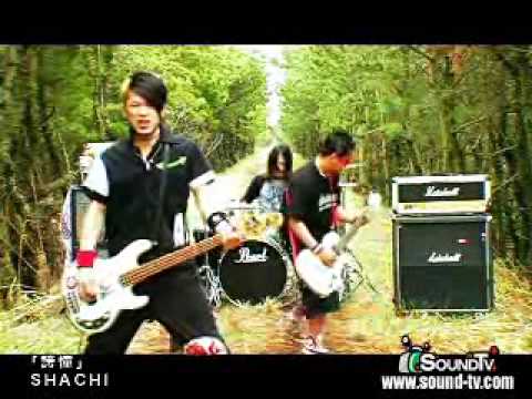 SHACHI-誇憧