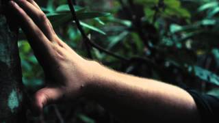 SICK BIRDS DIE EASY - Official Teaser Trailer 1 (2013)