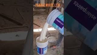 royale shine luxury painting pebble white colour kot L136#shortsvideo #ytshort #reelsvideo