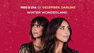 Winter Wonderland Music Video
