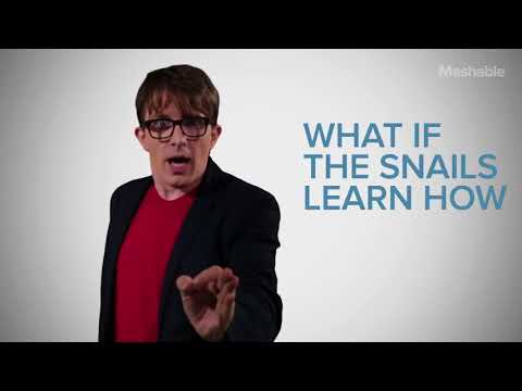 Snail Farm  Scamalot