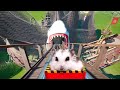 Hamster in Roller Coaster Maelstrom with shark